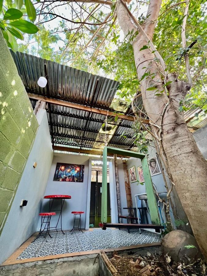 Artist'S Place טראט מראה חיצוני תמונה